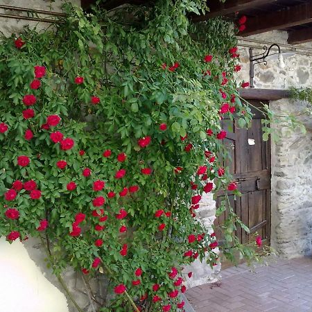 Residenza Antica Corte Villa Picta Buglio in Monte Exterior foto